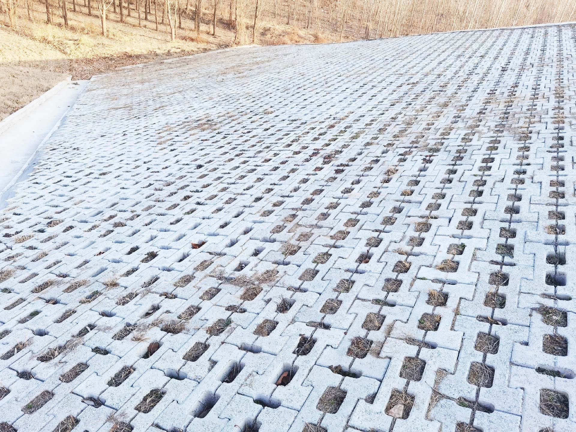 1767676907137492.jpg 1767676907137492.jpg